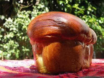 Brioche de Flore