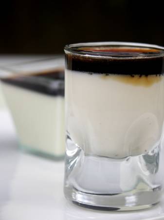 panacotta